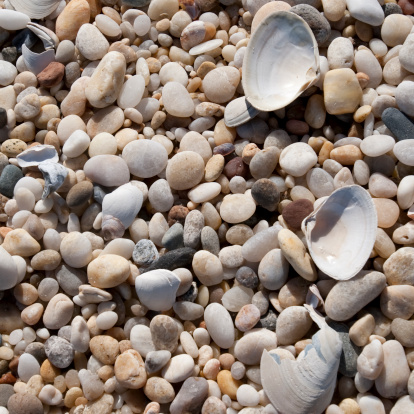 pebbles_seashells_hamptons