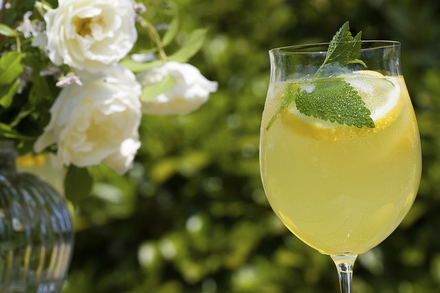 12546483243_0d6518798f_z