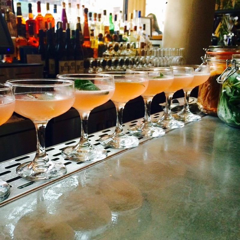 12095196_405262346332548_7225091557668199137_o