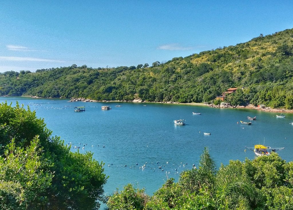 13913807_10154392474129764_4204462994154634861_o