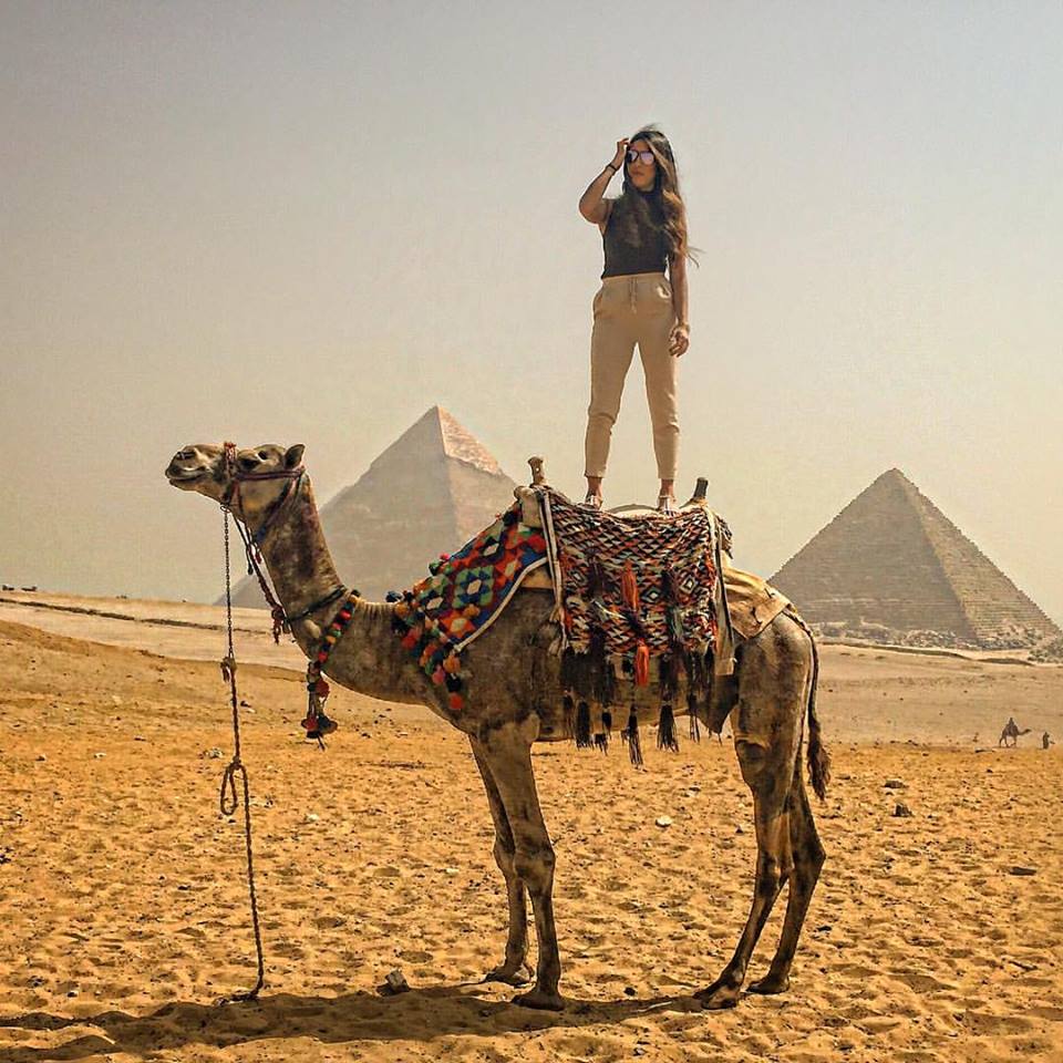 12524233_10154063758589289_682707274254842171_n