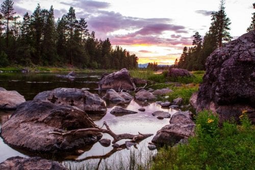 the resort at paws up2