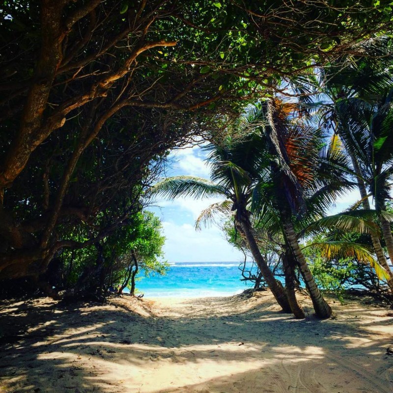 Mustique Macaroni Beach