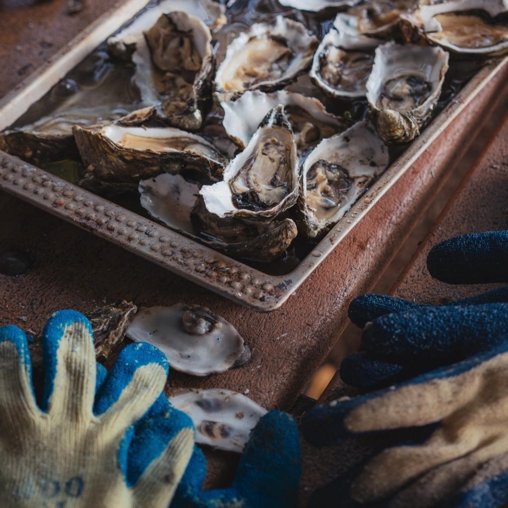 ready to eat oysters in a metal dish in a brown table