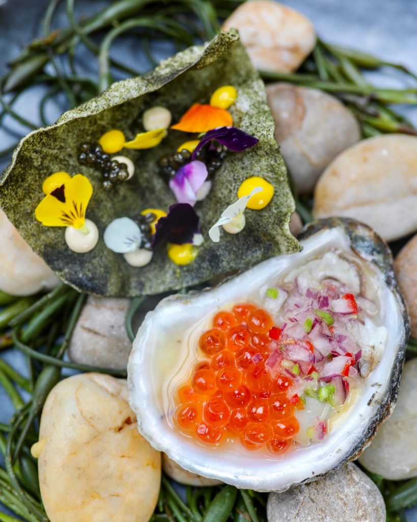 looking down onto colorful ceviche food served in a oyster shell on a bed of potatoes and green shoots, 